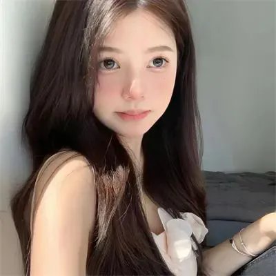 鱼与猫