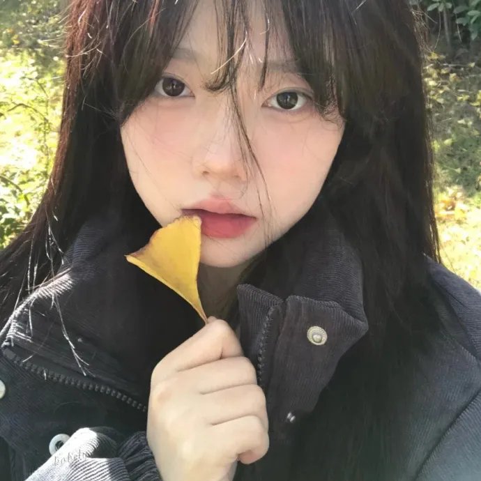 风的秘密